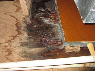 About Landmark Restoration - water damage restoration experts in Richmond